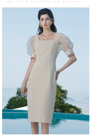 Translucent Puff Sleeves With Elegance Sheath Dress